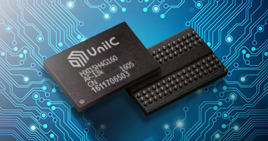 UniIC 內存顆粒